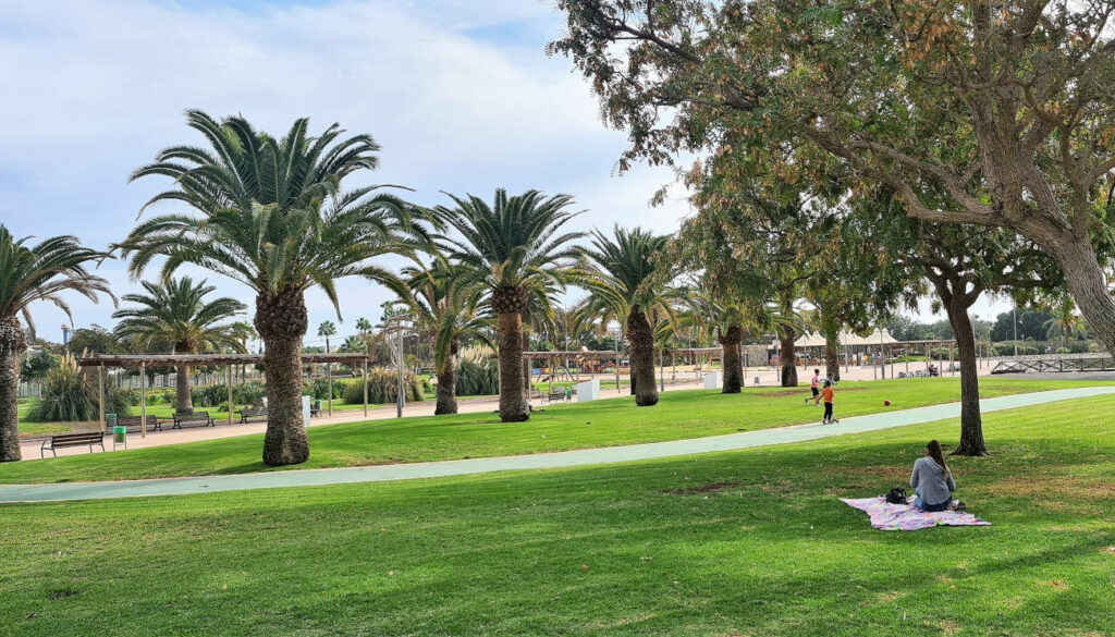 parque del sur in maspalomas with palm trees