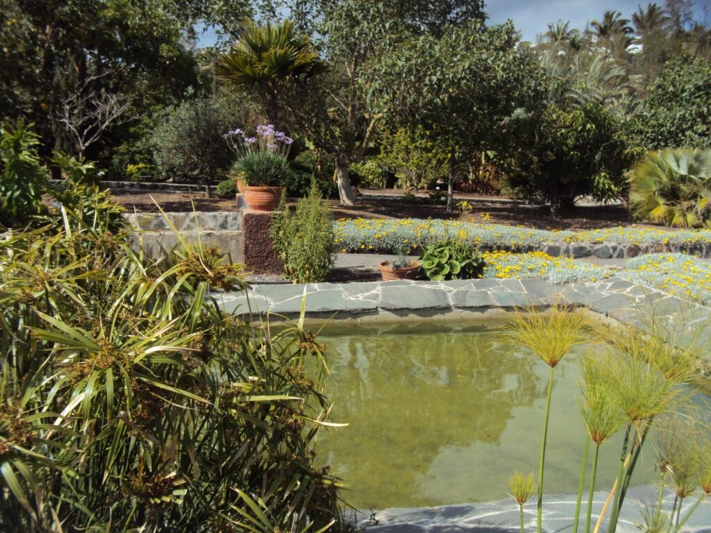 lagoon in the botanical garden of maspalomas