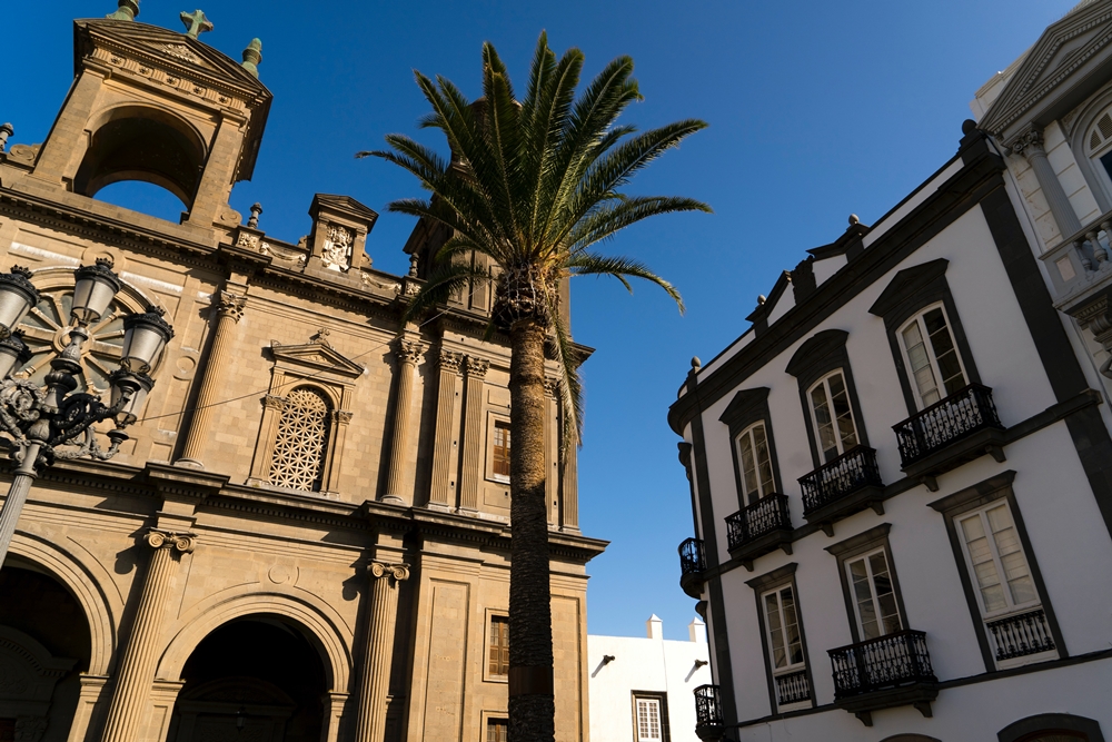 catedral de las palmas