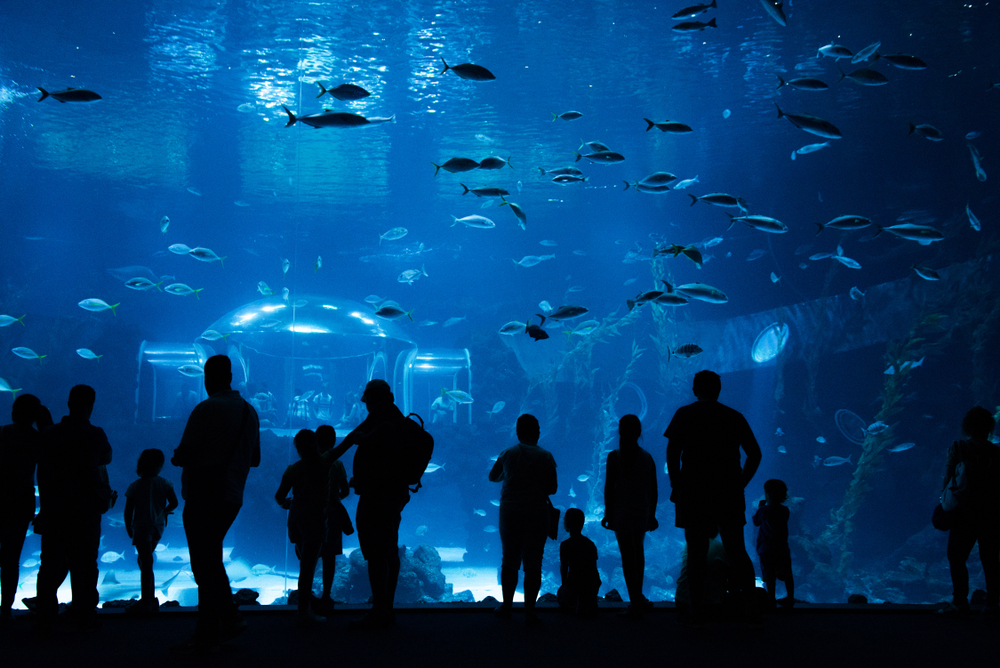 visitantes disfrutando del acuario poema del mar en las palmas