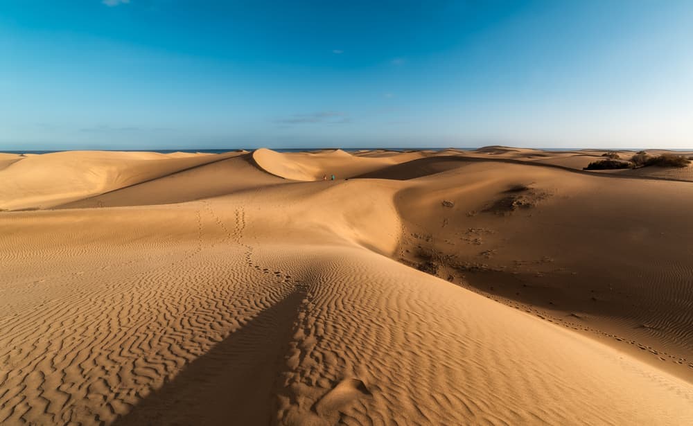 Dunas de Maspalomas
