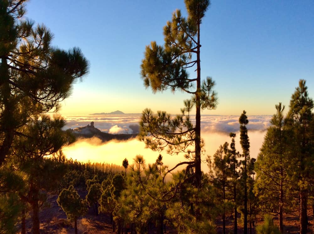 Mirador del Pico de Las Nieves.